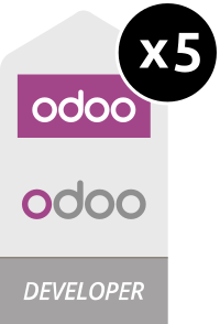 Odoo Developers